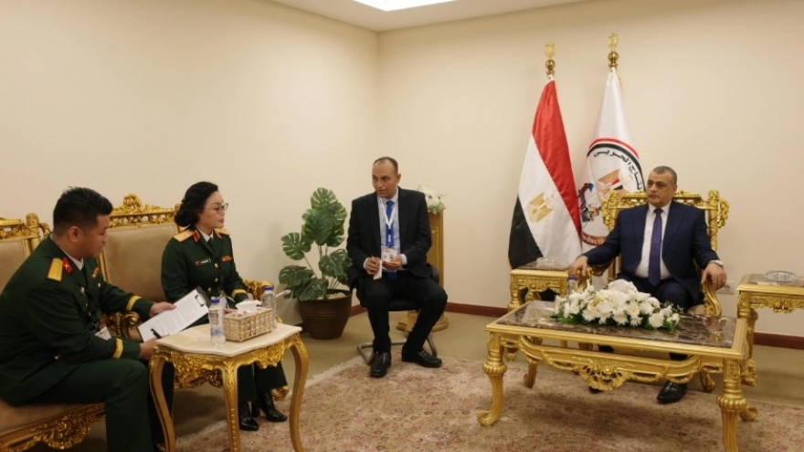 Egypt, Vietnam agree to step up cooperation in defence industry